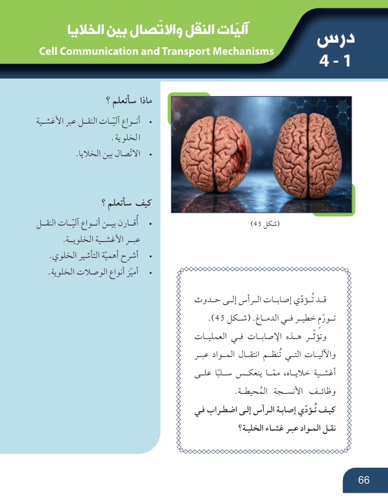 صفحة 67 من الأحياء — الصف العاشر — الفصل الدراسي الأول