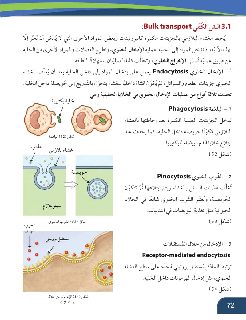 صفحة 73 من الأحياء — الصف العاشر — الفصل الدراسي الأول