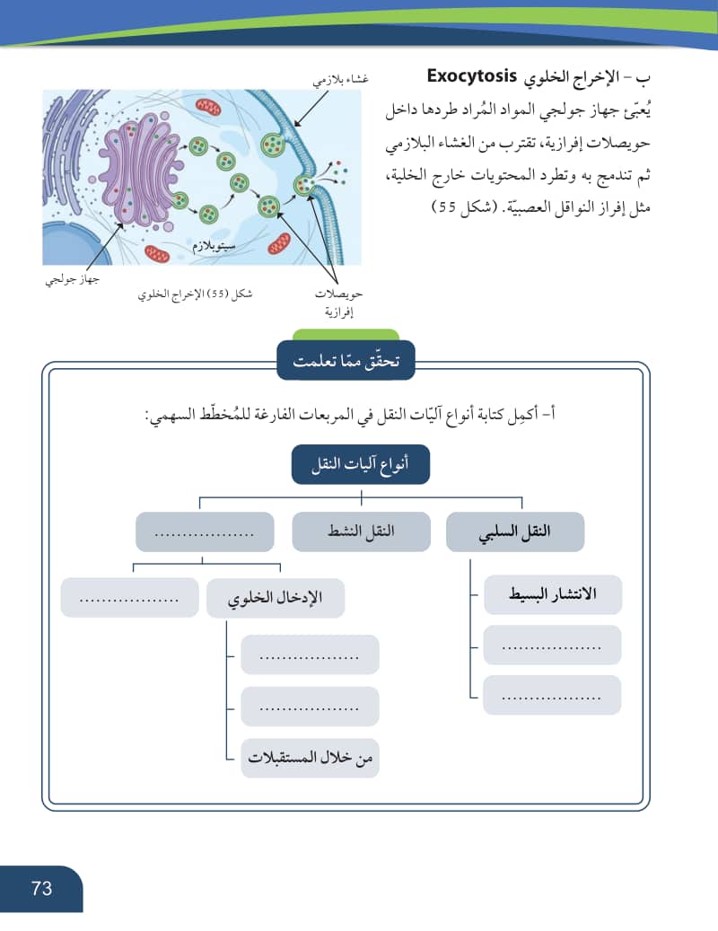 صفحة 74 من الأحياء — الصف العاشر — الفصل الدراسي الأول