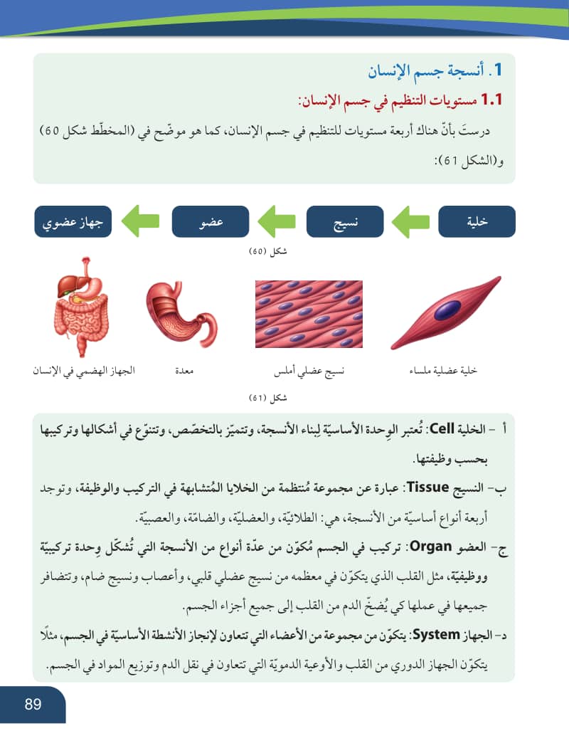 صفحة 90 من الأحياء — الصف العاشر — الفصل الدراسي الأول